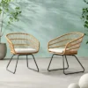 Christopher Knight Home Lemere Outdoor Wicker And Metal Upholstered Dining Chairs (Set Of 2)