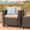 Puerta Wicker Club Chair - Dark Brown/Beige - Christopher Knight Home